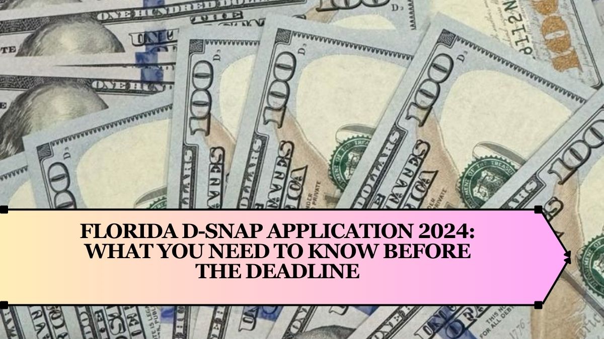 Florida D-SNAP Application 2024: What You Need to Know Before the Deadline